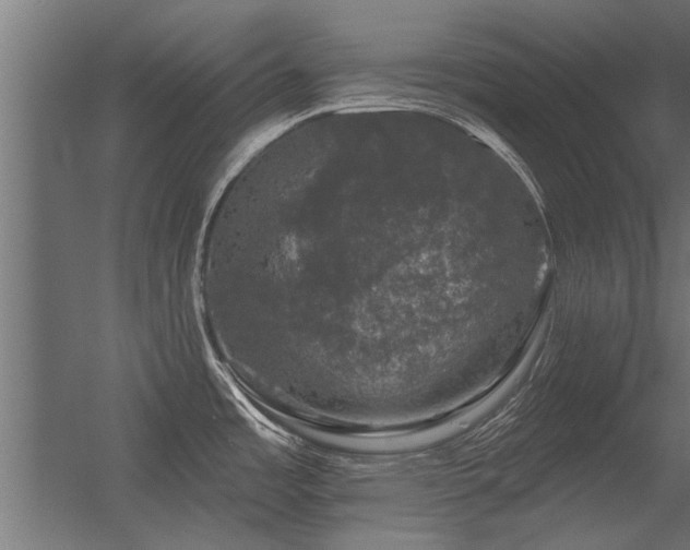 X0000056331485200509021616