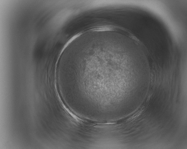 X0000056331487200509021616