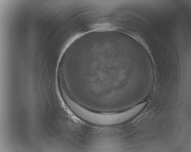 X0000056331488200509021616