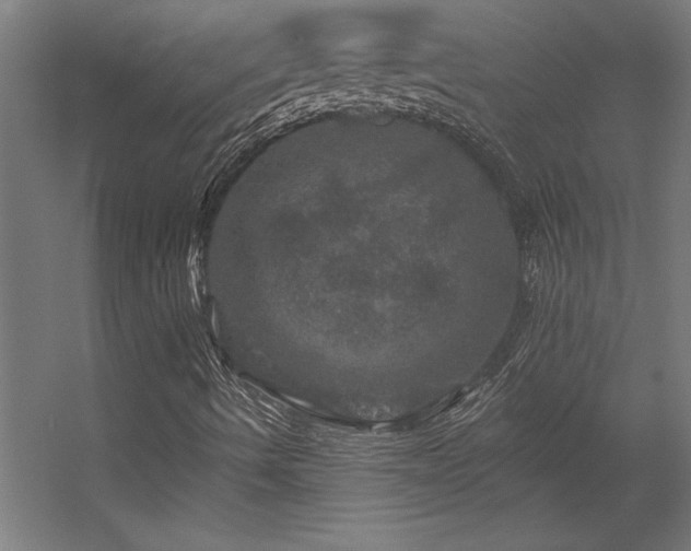 X0000056331490200509021615