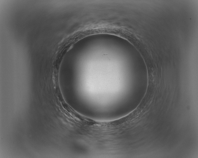 X0000056331493200509021615