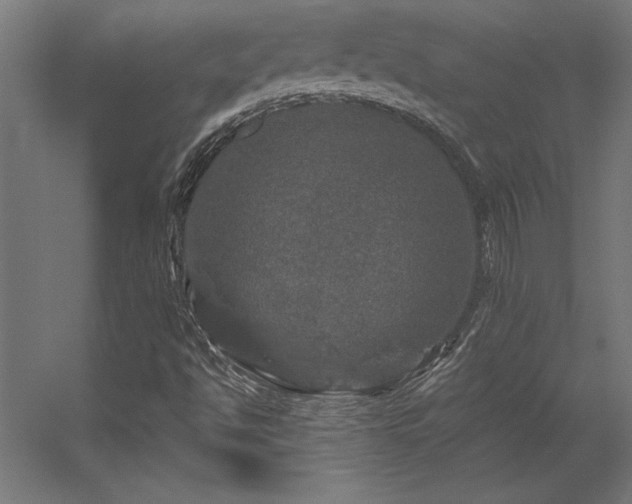 X0000056331494200509021615