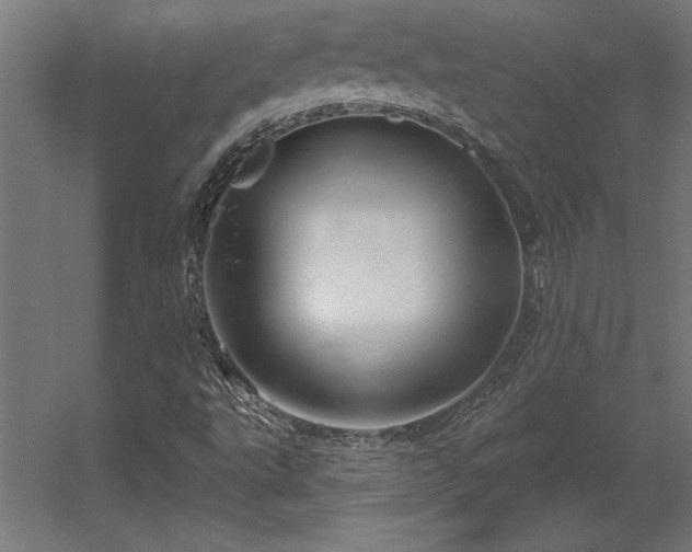 X0000056331495200509021615