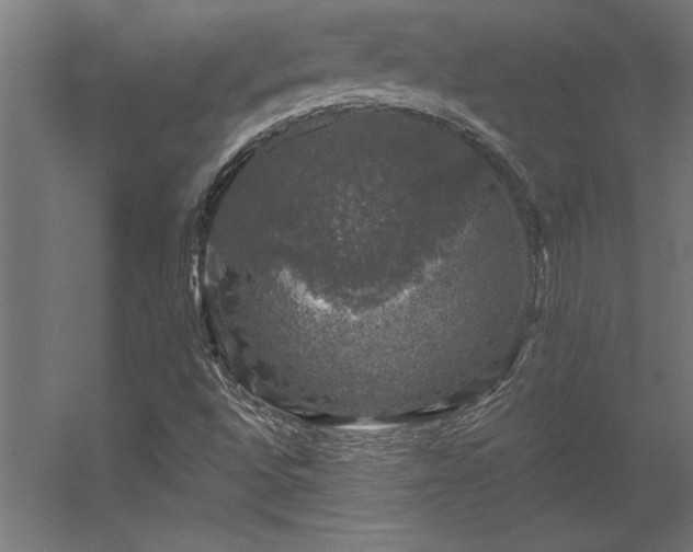 X0000056331496200509021615