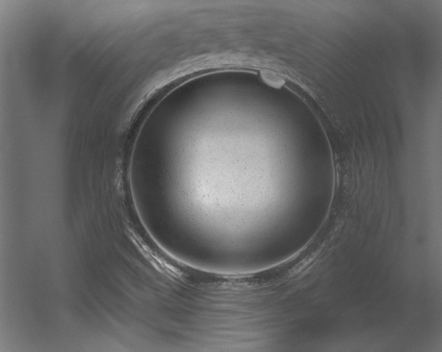 X0000056331499200509021615