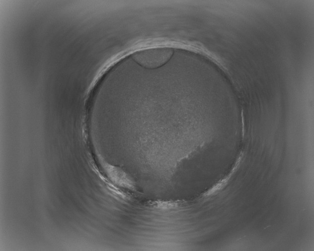 X0000056331501200509021615