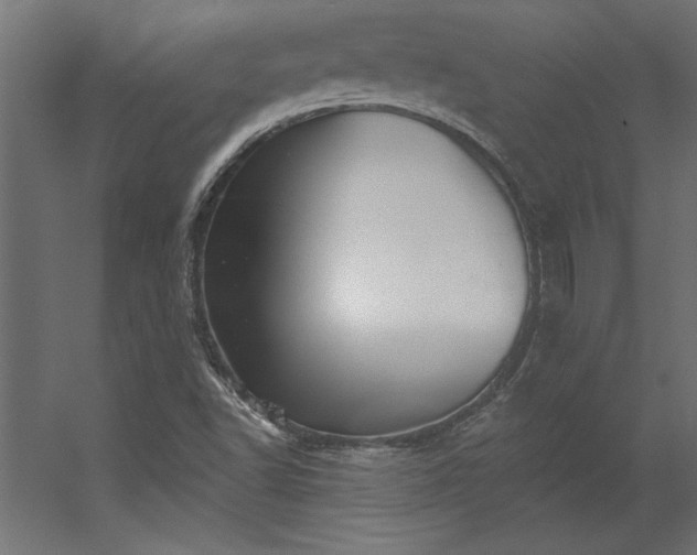 X0000056331502200509021615