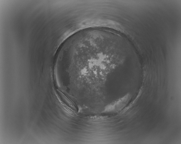 X0000056331505200509021616