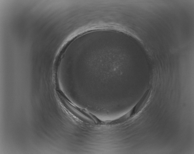 X0000056331506200509021616