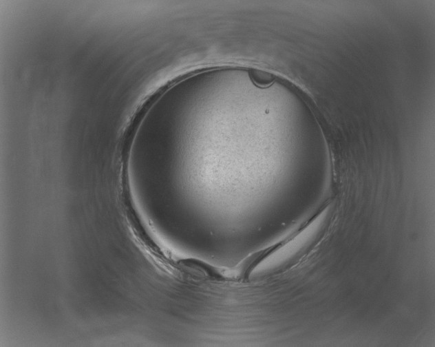 X0000056331507200509021616