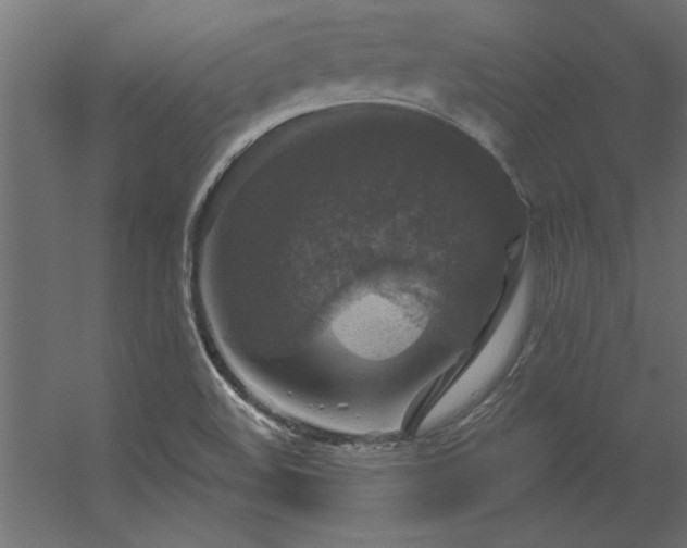 X0000056331508200509021616