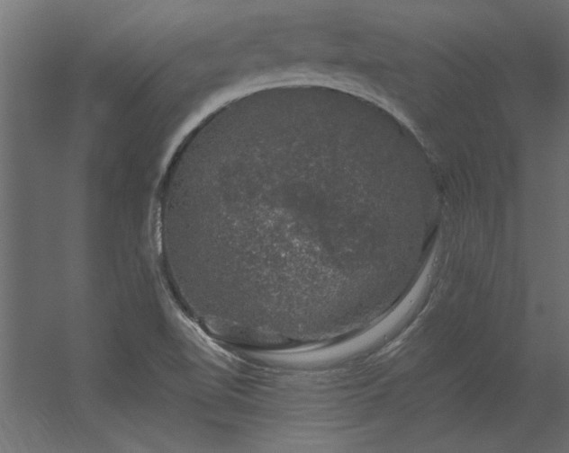 X0000056331510200509021616