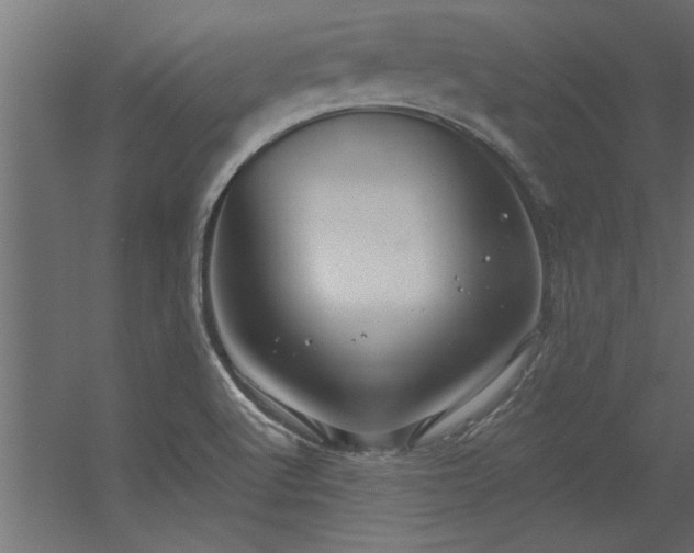 X0000056331512200509021616