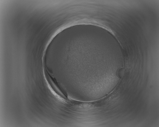 X0000056331515200509021616