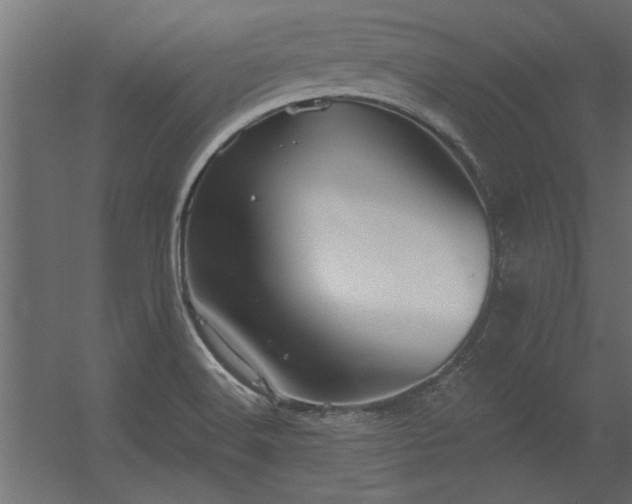 X0000056331516200509021616