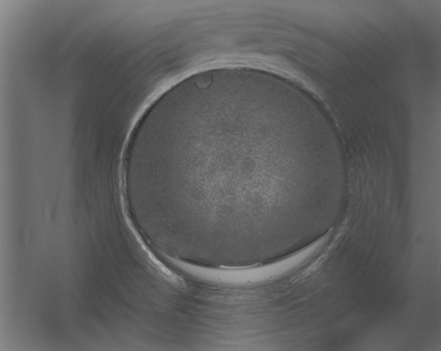 X0000056331517200509021616