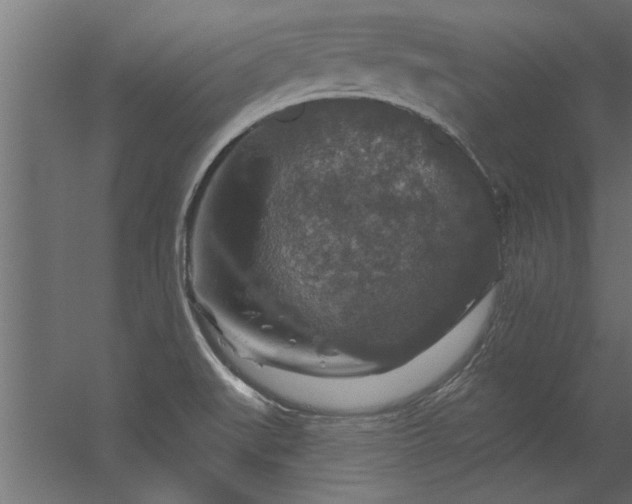 X0000056331519200509021616