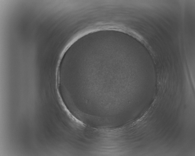 X0000056331520200509021616