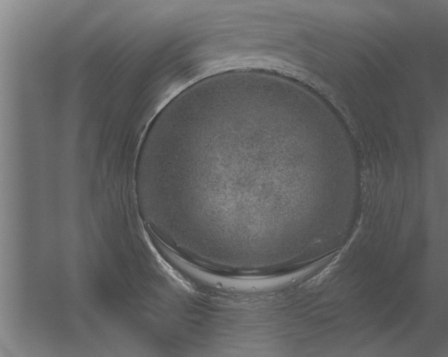 X0000056331521200509021616