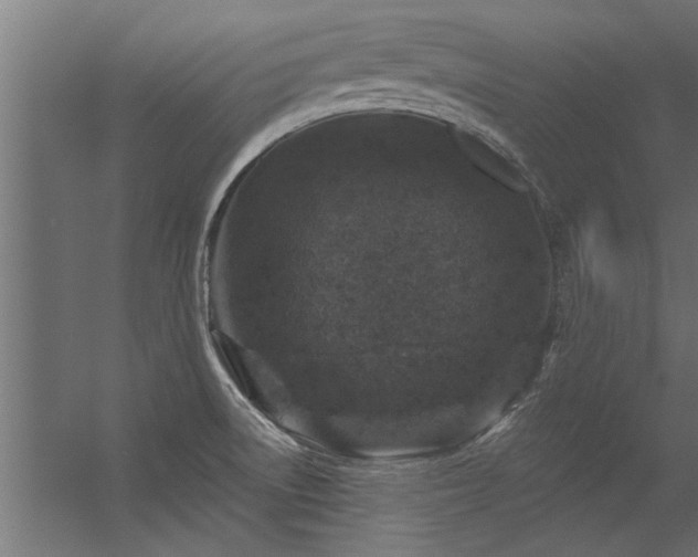 X0000056331522200509021616