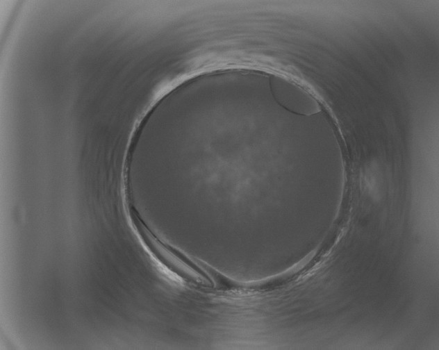 X0000056331525200509021616