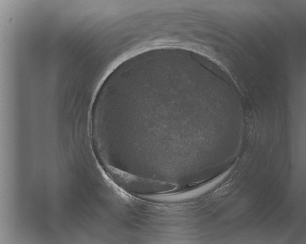 X0000056331527200509021616