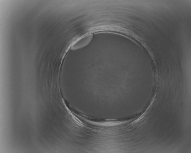 X0000056331529200509021616