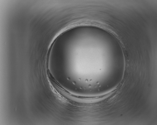 X0000056331530200509021616