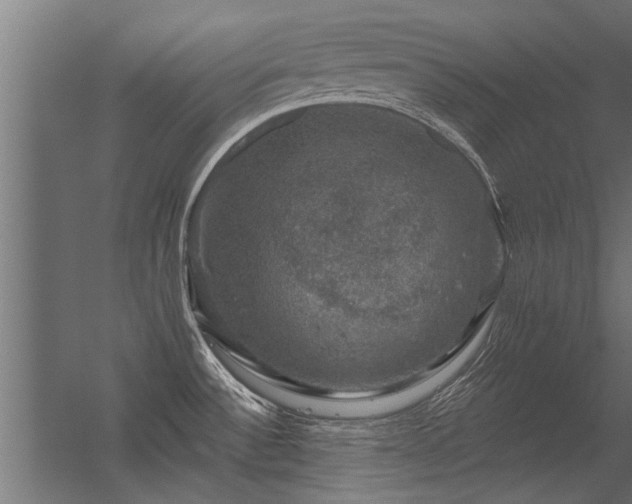 X0000056331532200509021616