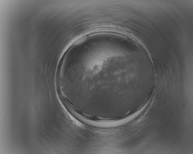 X0000056331533200509021616