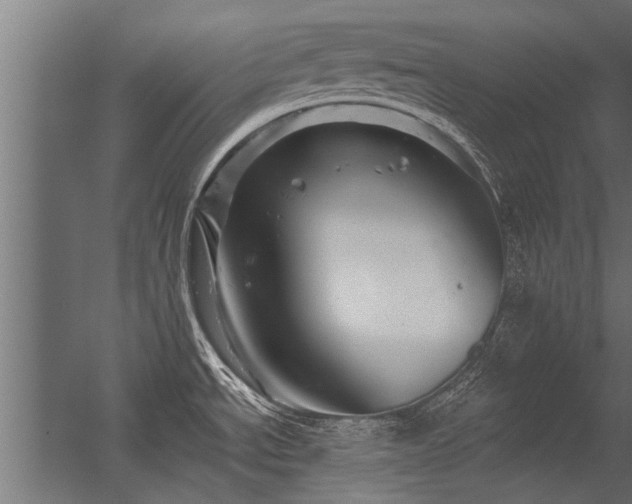 X0000056331534200509021616