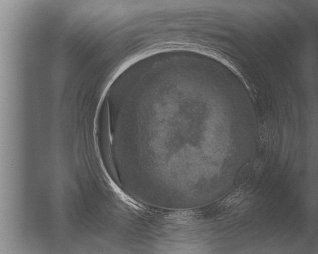 X0000056331535200509021616