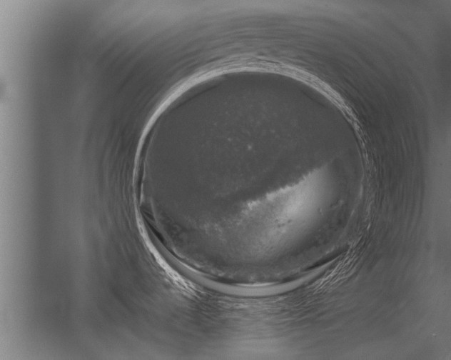 X0000056331536200509021616