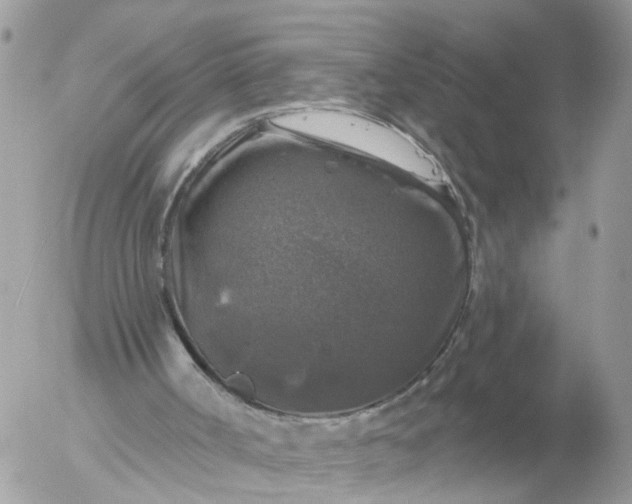 X0000056330002200509092340