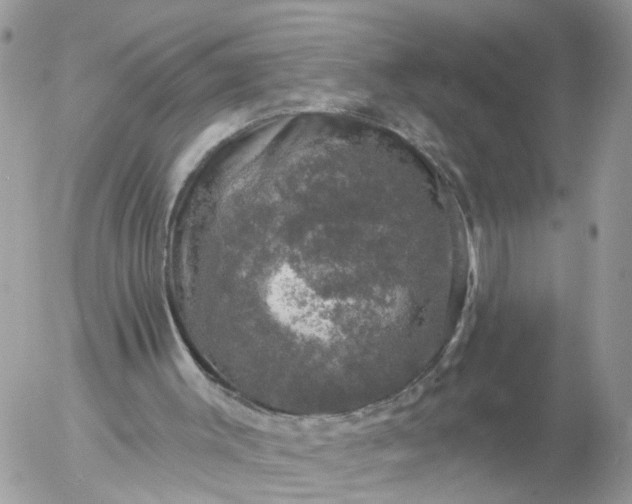 X0000056330003200509092340