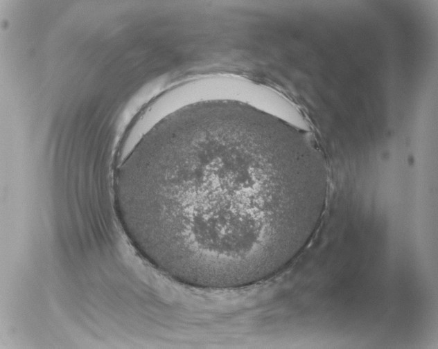 X0000056330006200509092340