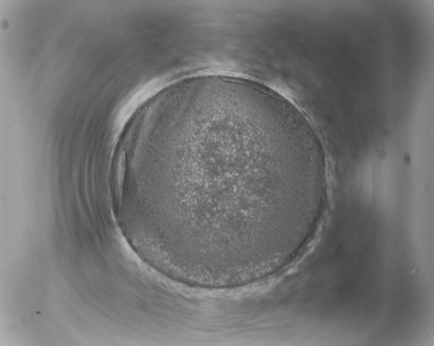 X0000056330007200509092340