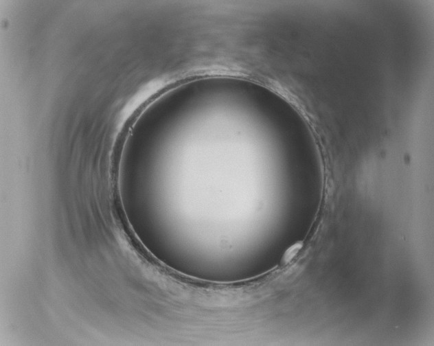 X0000056330008200509092340