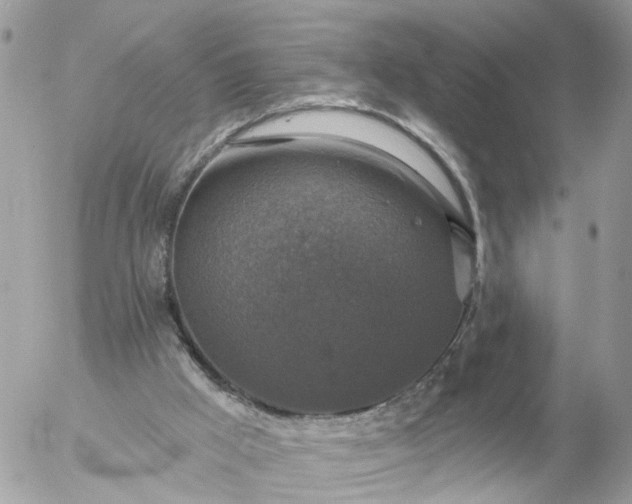 X0000056330009200509092340