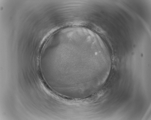 X0000056330012200509092340