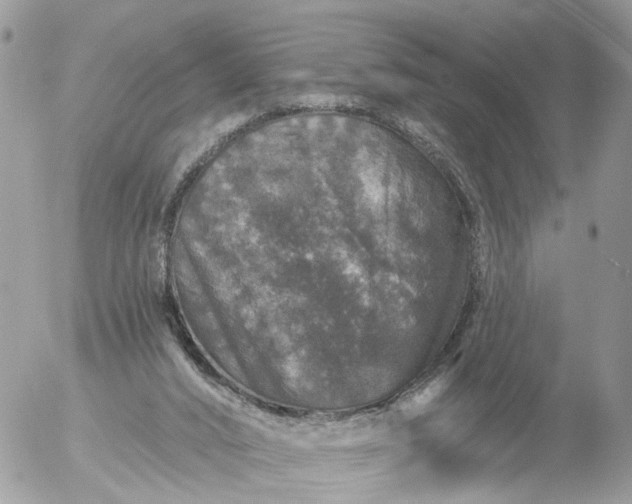 X0000056330016200509092340