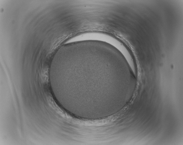 X0000056330017200509092340