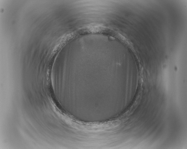 X0000056330018200509092340