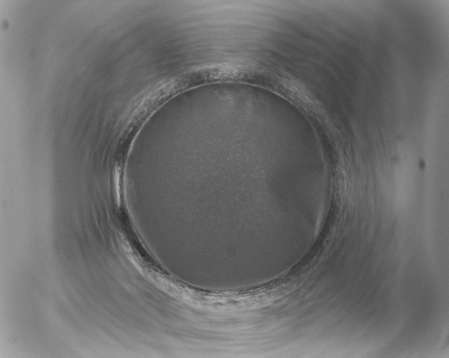 X0000056330022200509092340