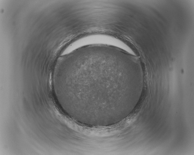 X0000056330024200509092340