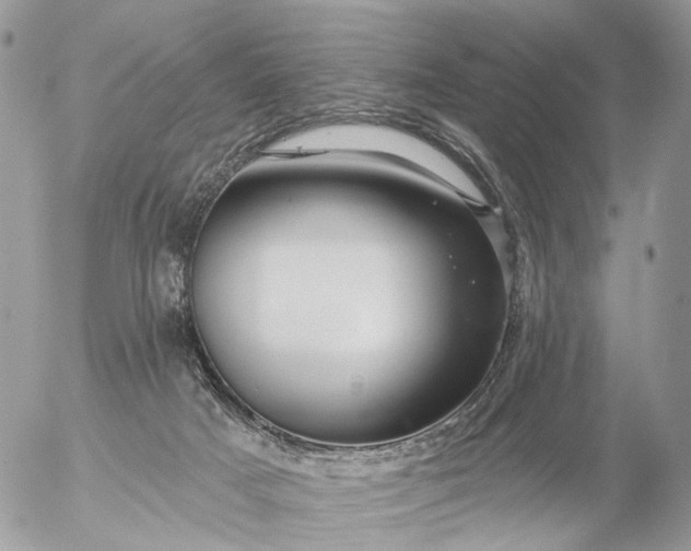 X0000056330025200509092339