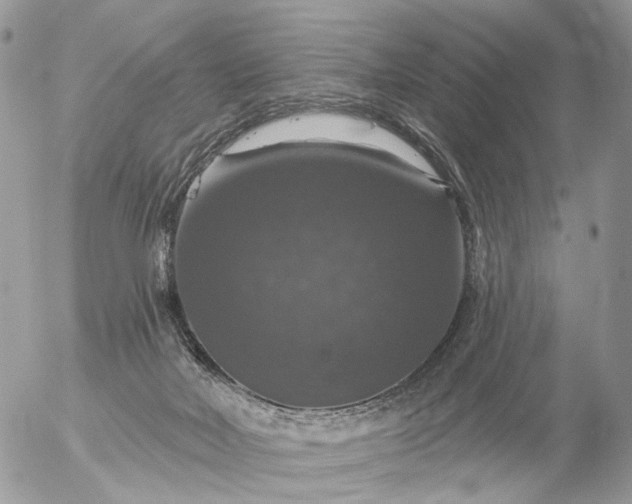 X0000056330026200509092339