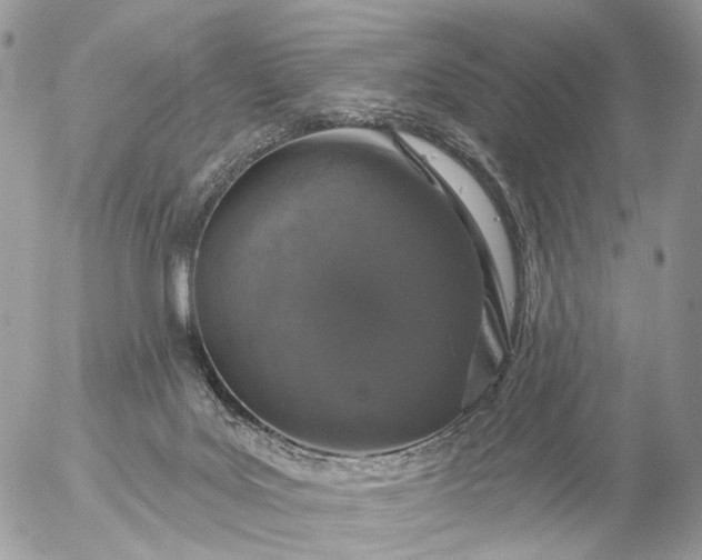 X0000056330027200509092339