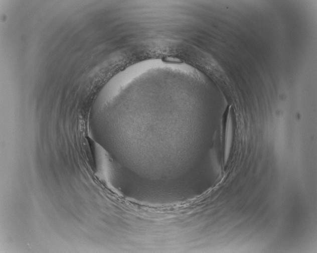 X0000056330029200509092339