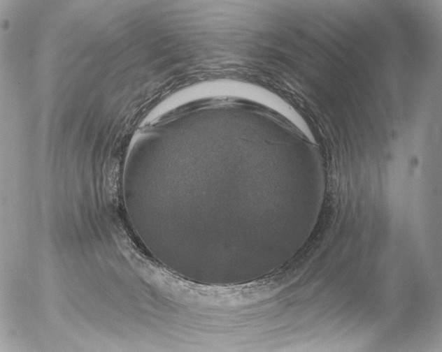 X0000056330030200509092339